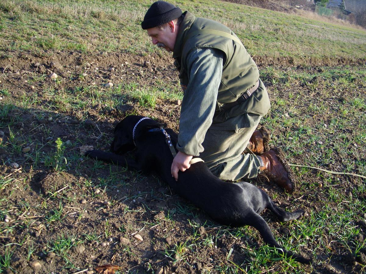 Zalehnutí u nalezeného předmětu.JPG