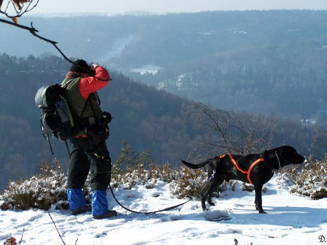 T & T -Rač -11.2.2012