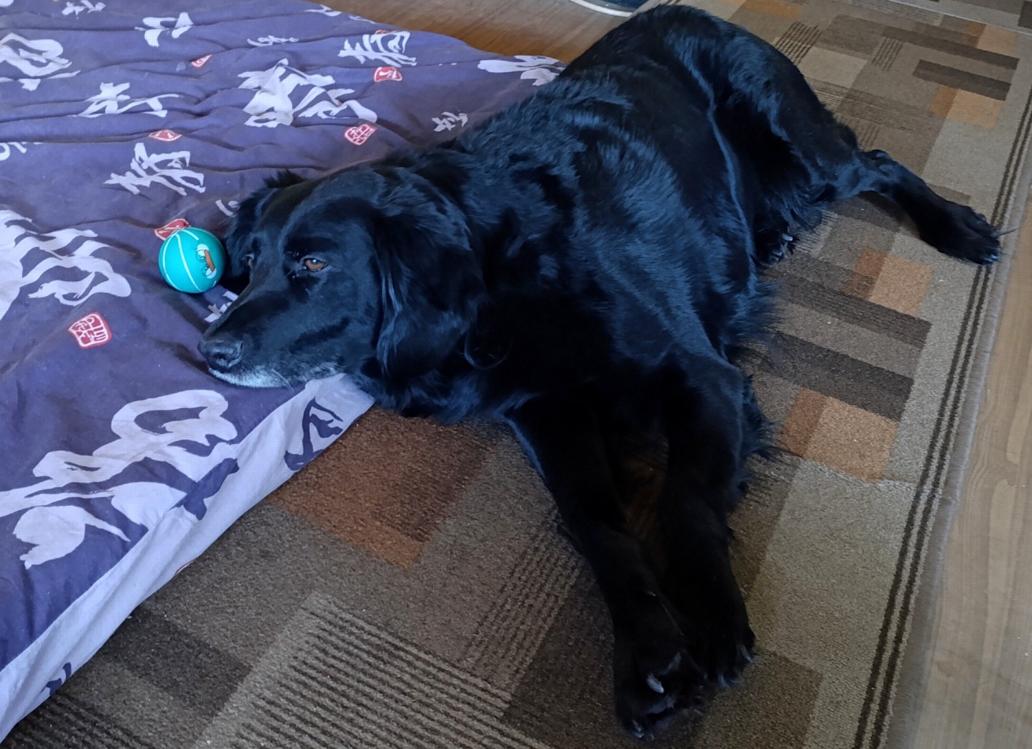 IMG_20260105_141300 (1)