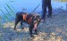 IMG-20250918-WA0057